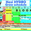 HESI Hydro Growth 5L
