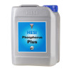 HESI Phosphorus Plus 5L