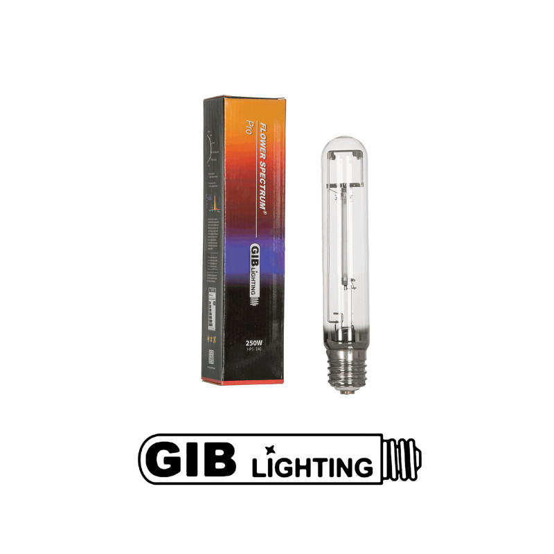 Гроубокс Комплект Адвансед 250W