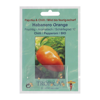 Семена Хабанеро Оранжево Чили (Capsicum chinense)