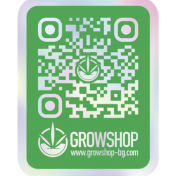 Холограмен стикер