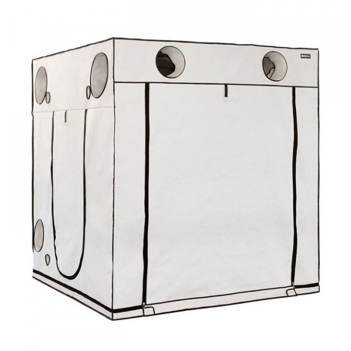 Гроубокс HOMEbox Ambient Q240+ 240x240x220cm