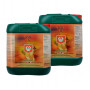 House & Garden Soil A&B 5L