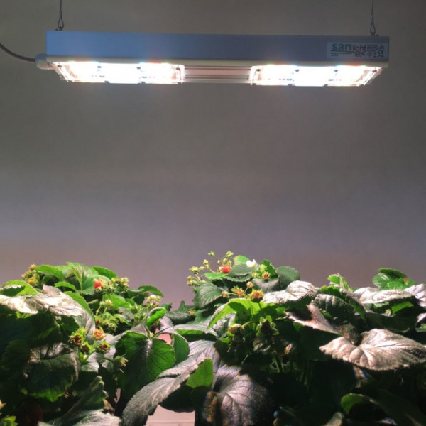LED Lamp for growth and bloom SANlight S2W 62W