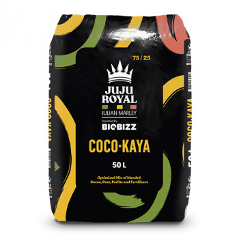 Кокос Juju Royal COCO-KAYA 50L