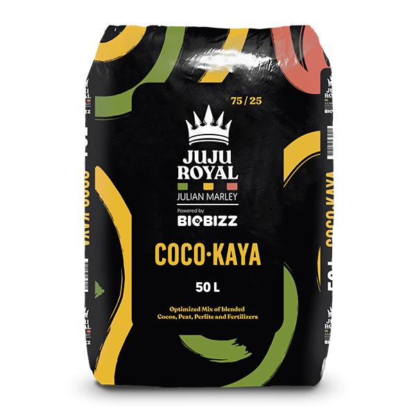 Кокос Juju Royal COCO-KAYA 50L