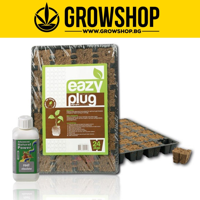 Комплект Easy Plug & Root Stimulator