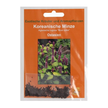 Семена Kорейска мента (Agastache rugosa ”Син клас/Blue spike”)