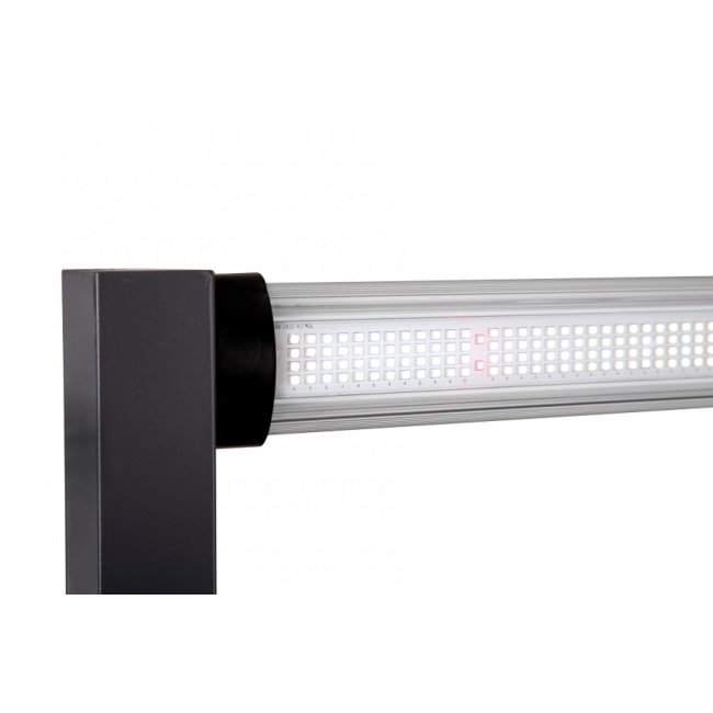 LED Лампа за растеж и цъфтеж GIB Lighting FS630, 630W