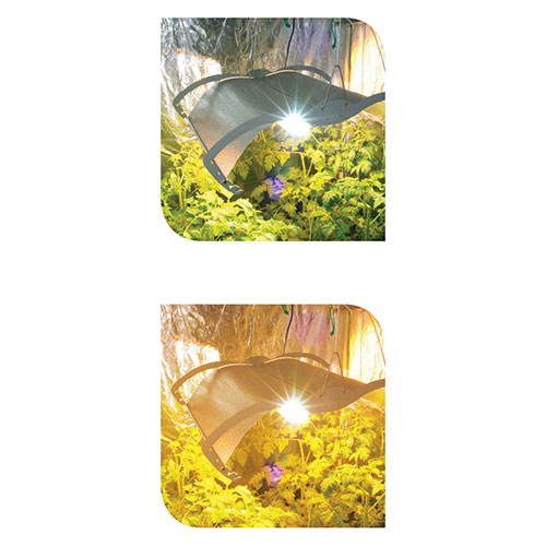 Защитни Очила LUMii GrowRoom Lenses