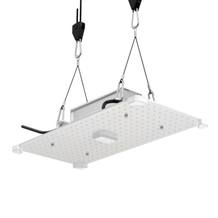 LED Лампа за растеж LUMii Black Blade 100W