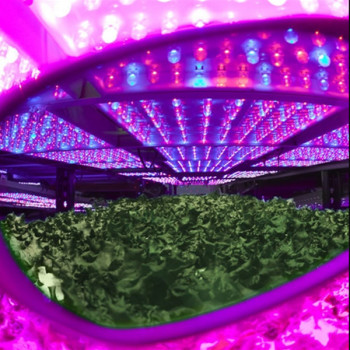 Защитни Очила Operator Blurple LED Classic