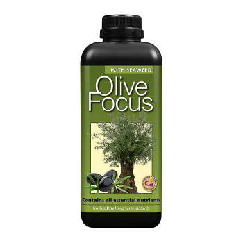 Olive Focus 1L