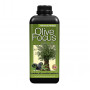 Olive Focus 1L