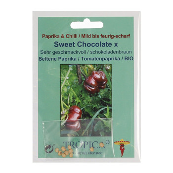 Семена Органично Чили "Сладък Шоколад" (Capsicum annum)