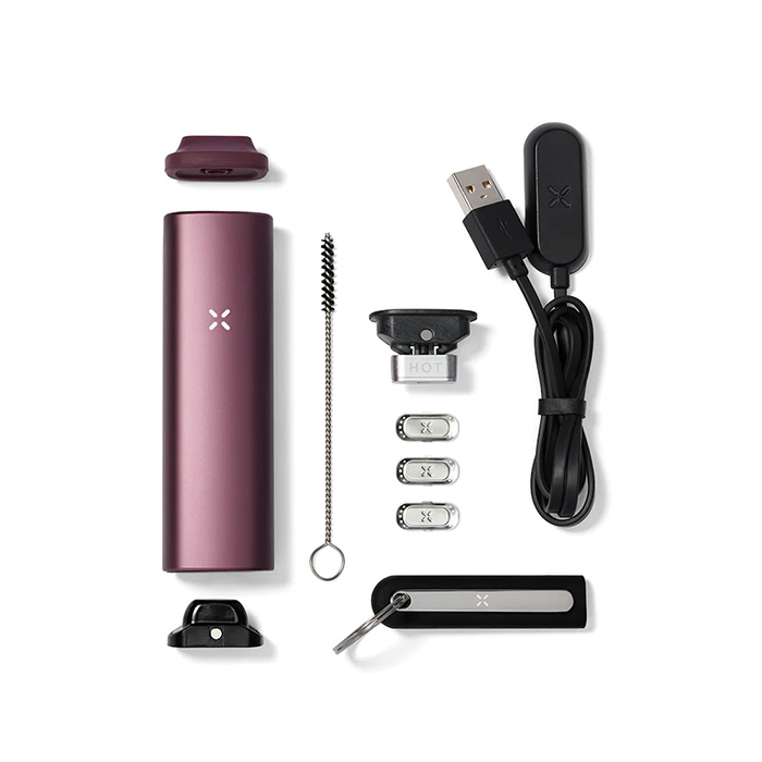 Вапорайзер PAX Plus ELDERBERRY