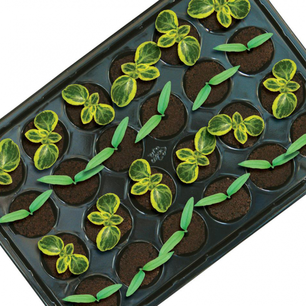 ROOT!T 24 бр. Kубчета за покълване, Тарелка и Основа