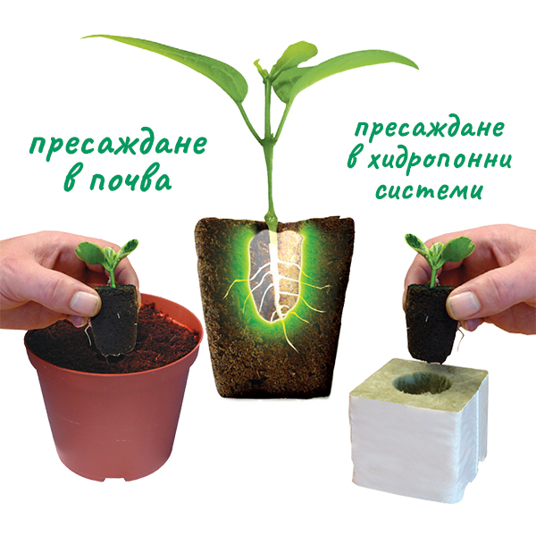 ROOT!T 24 бр. Kубчета за покълване, Тарелка и Основа