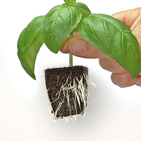 Вкоренител Clonex 1L