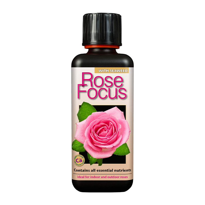 Rose Focus 300ml