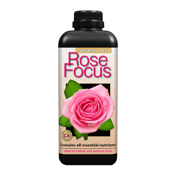 Rose Focus 1L