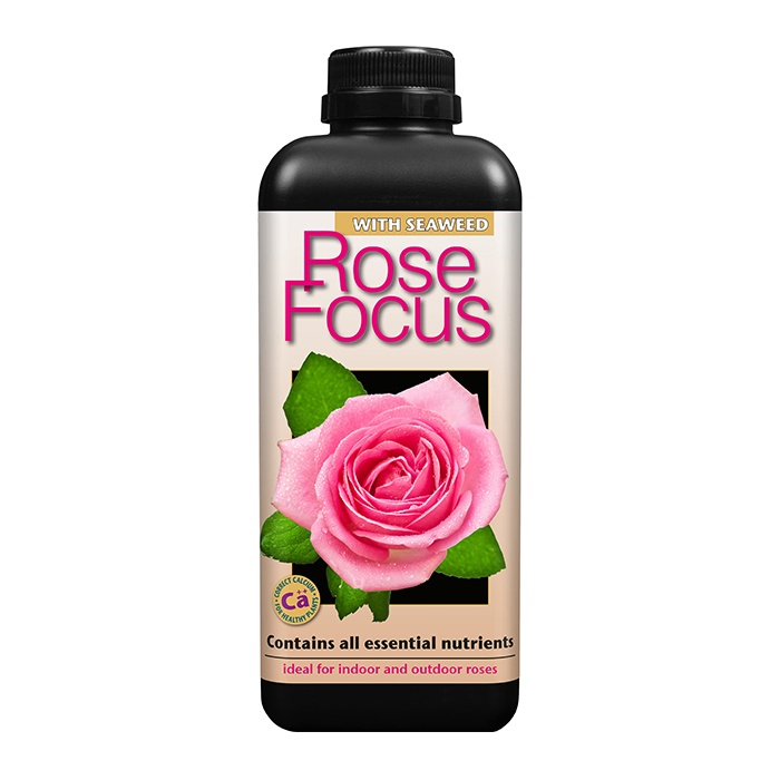 Rose Focus 1L