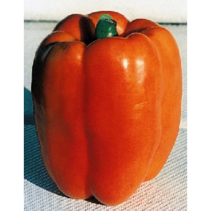 Семена Чушки "Гурме" (Capsicum annum var. arossum)