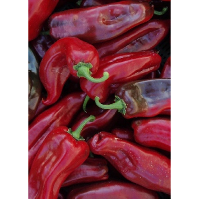 Семена Чушки "Корно Росо" (Capsicum annum)