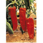Seeds Capricorn F1 (Capsicum annum)