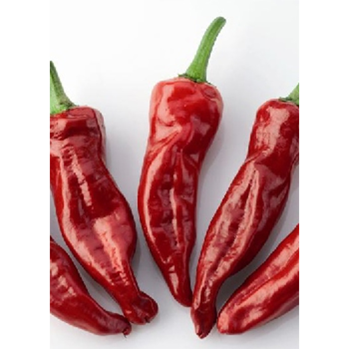 Семена Чили "Гория" Червено (Capsicum annum)