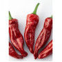 Семена Чили "Гория" Червено (Capsicum annum)
