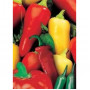 Семена Чили "Мексикански Лют Микс" (Capsicum chinense)