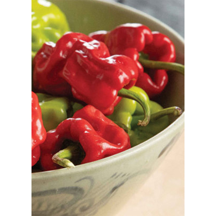 Семена Чили "Пръстът На Дракона" (Capsicum chinense)