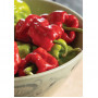 Семена Чили "Пръстът На Дракона" (Capsicum chinense)