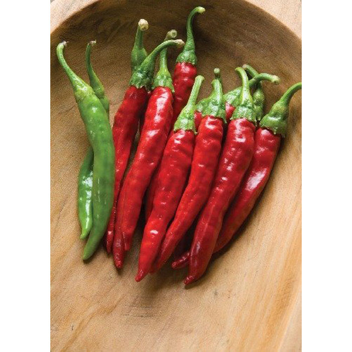 Семена Чили "Ред Рокет" (Capsicum annum)