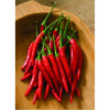 Seeds Thai Chili Bangkok F1 (Capsicum annum)