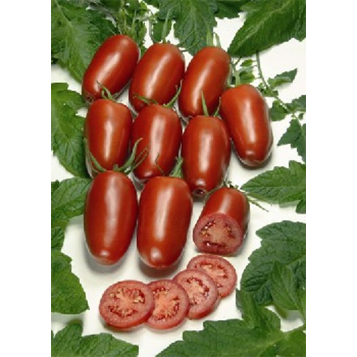 Семена Домати Рома "Агора Ф1" (Lycopersicon esculentum)