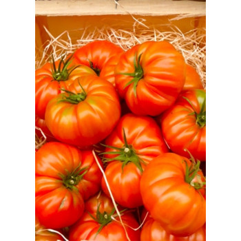 Семена Домати "Руж Марманде Ф1" (Lycopersicon esculentum)