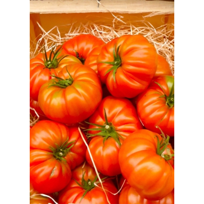 Семена Домати "Руж Марманде Ф1" (Lycopersicon esculentum)