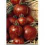 Семена Домати "Тигерела" (Lycopersicon esculentum)