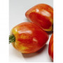 Семена Домати "Волско Сърце" (Lycopersicon esculentum)