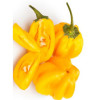 Seeds Zitronen Habanero Chili (Capsicum chinense)