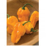 Семена Хабанеро "Суаве" Оранжево Чили (Capsicum chinense)