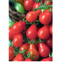 Семена Коктейлни Домати "Червена Круша" (Lycopersicon esculentum)