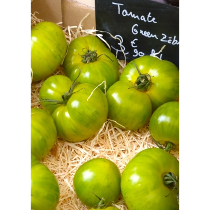 Семена Коктейлни Домати "Зелена зебра" (Lycopersicon esculentum)