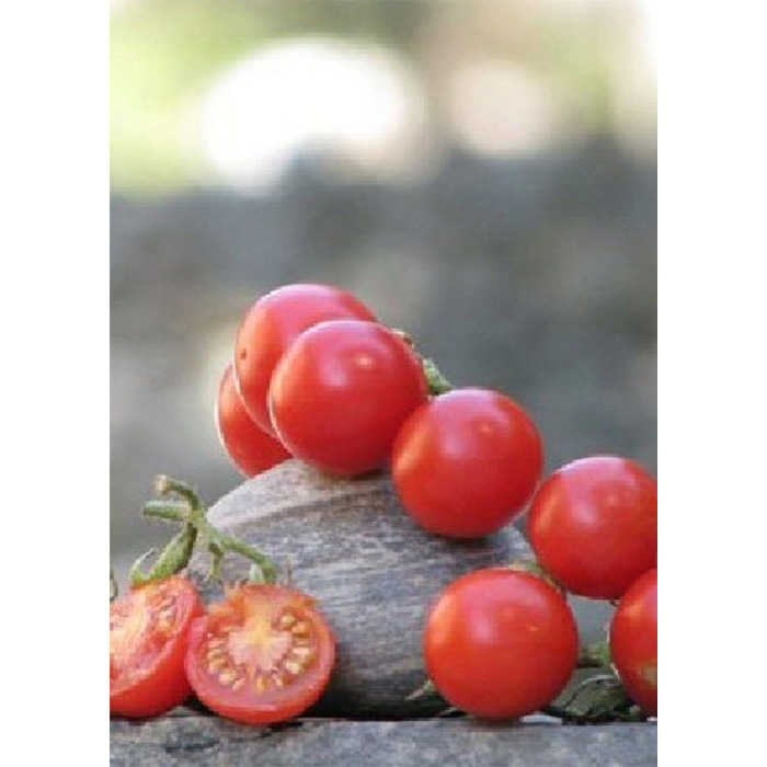 Семена Мексикански Медени Домати (Lycopersicon esculentum)