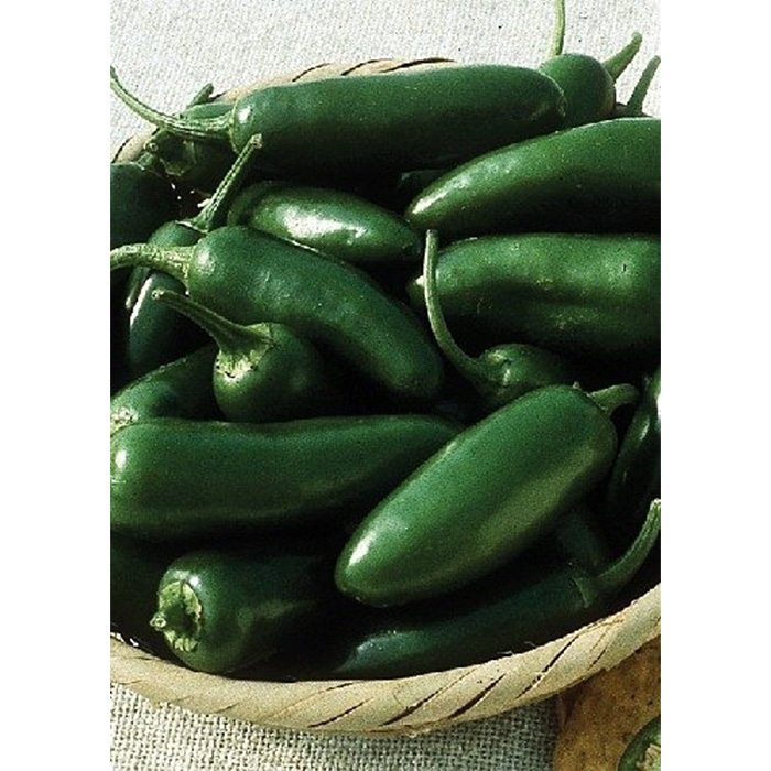 Семена Органично Чили Ранно Халапеньо (Capsicum annum)