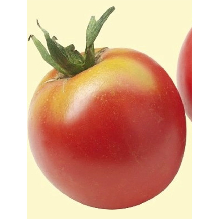 Семена Органични Домати "Бернска Роза" (Lycopersicon esculentum)