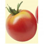 Семена Органични Домати "Бернска Роза" (Lycopersicon esculentum)