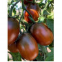 Семена Органични Домати "Черна Слива" (Lycopersicon esculentum)